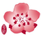China Airlines (CI)
